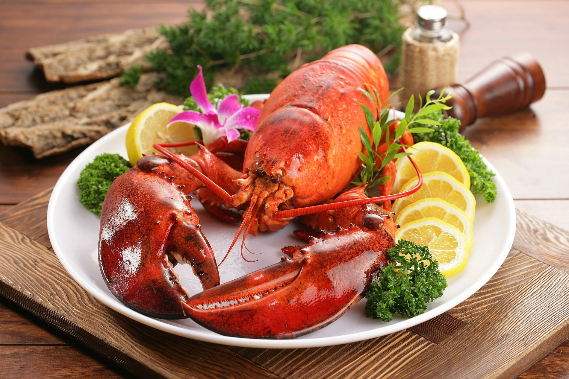 Homard entier servi au citron